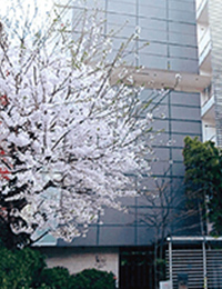 東京本校